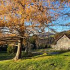 Herbstlicher Durchblick