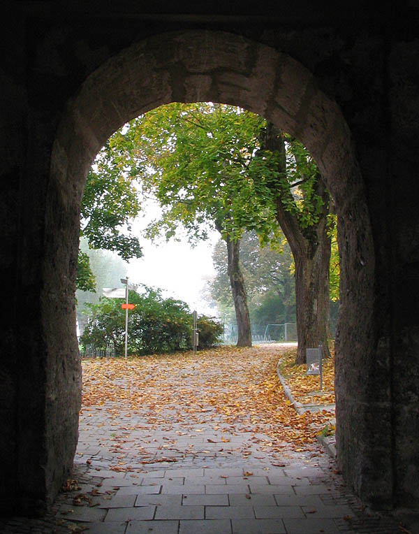 herbstlicher Durchblick... :-)