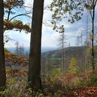 Herbstlicher Durchblick