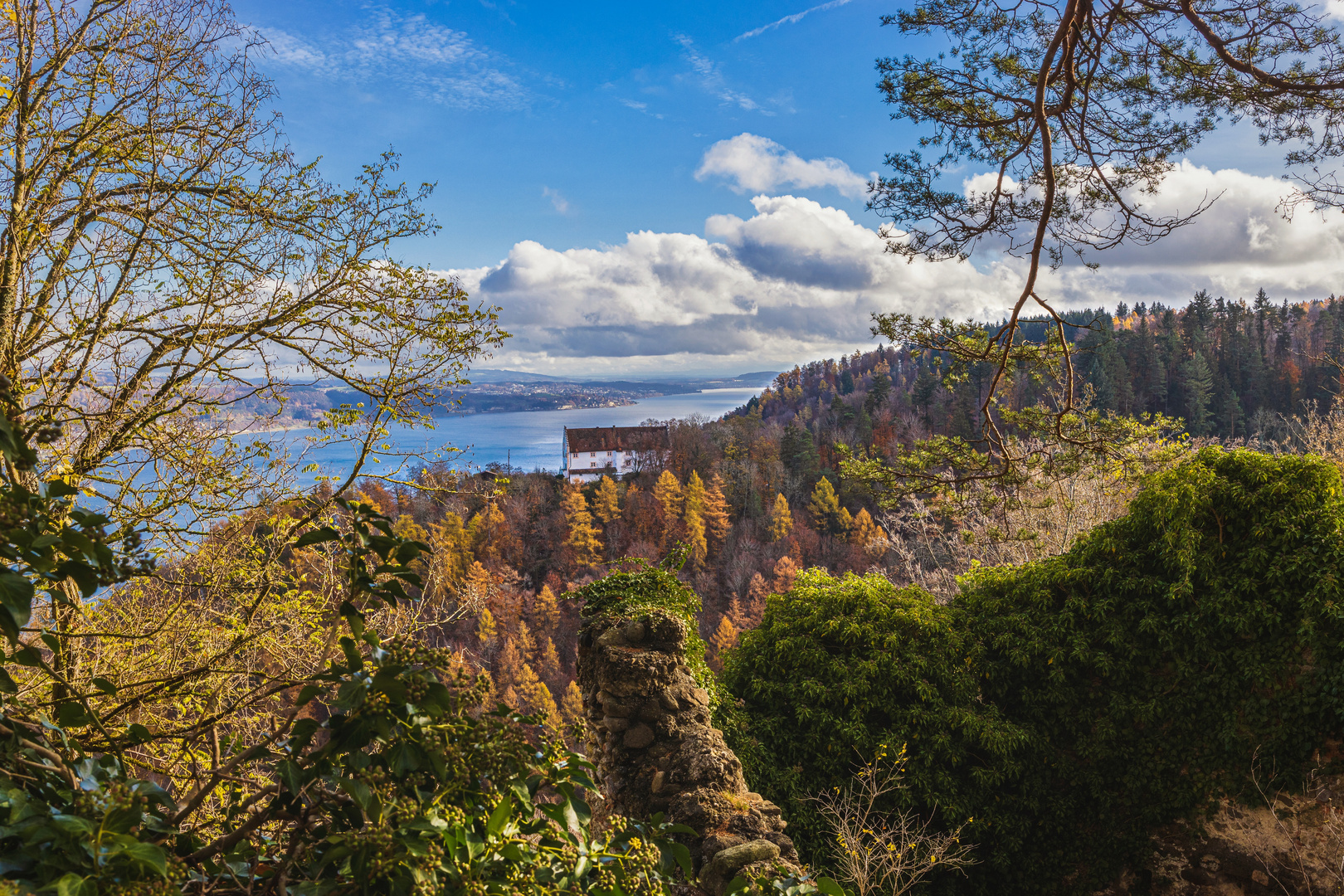 Herbstlicher Durchblick