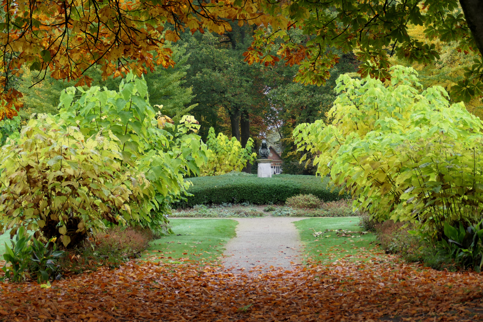 Herbstlicher Durchblick 