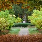 Herbstlicher Durchblick 