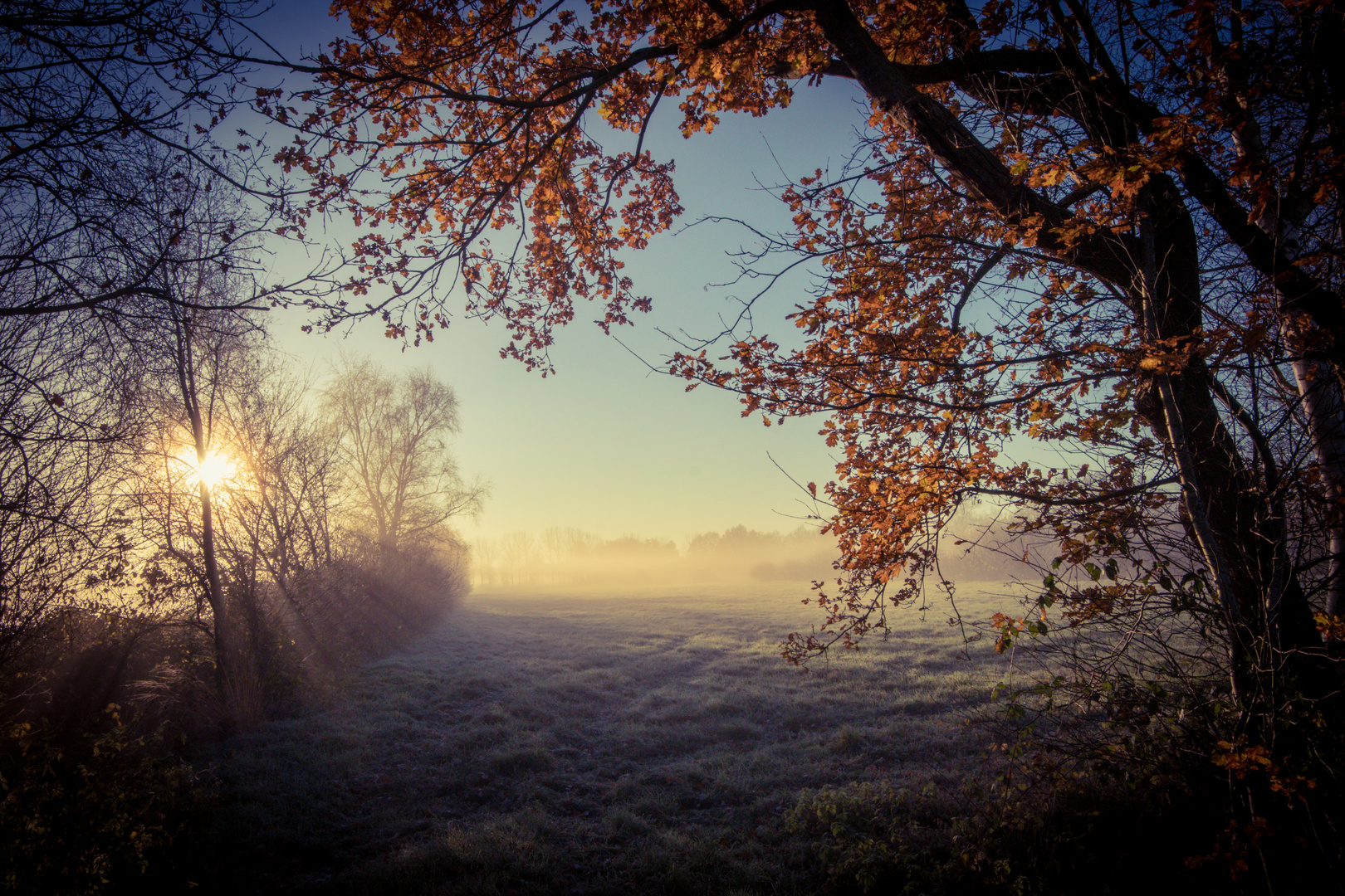 Herbstlicher Durchblick