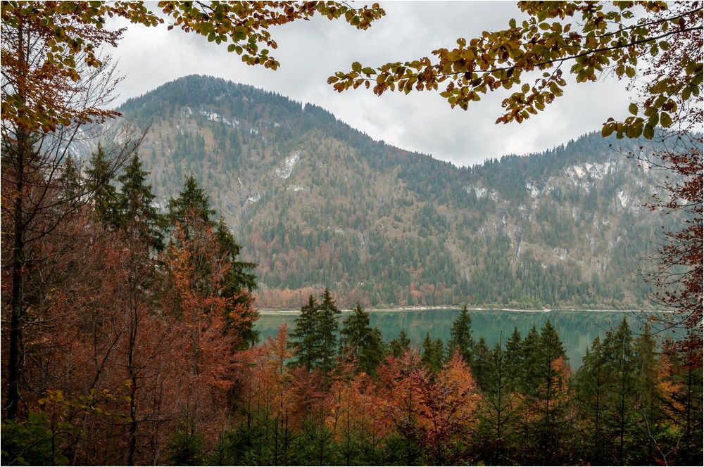 Herbstlicher Durchblick ...