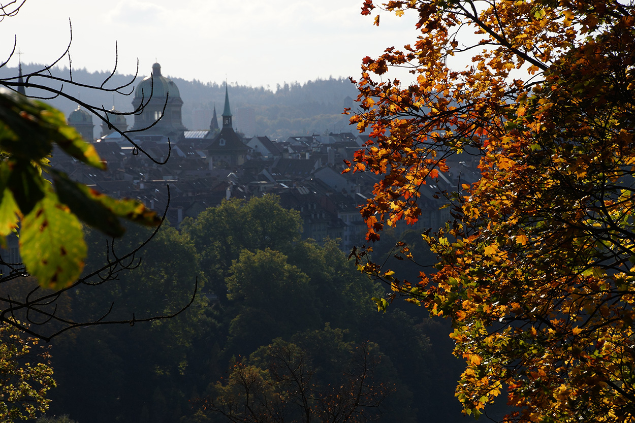 herbstlicher Durchblick