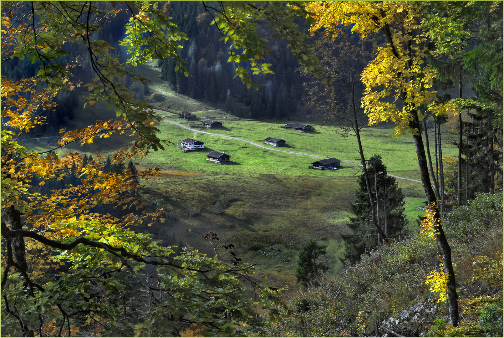 Herbstlicher Durchblick