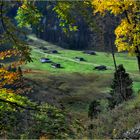 Herbstlicher Durchblick