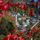 Herbstlicher Durchblick...