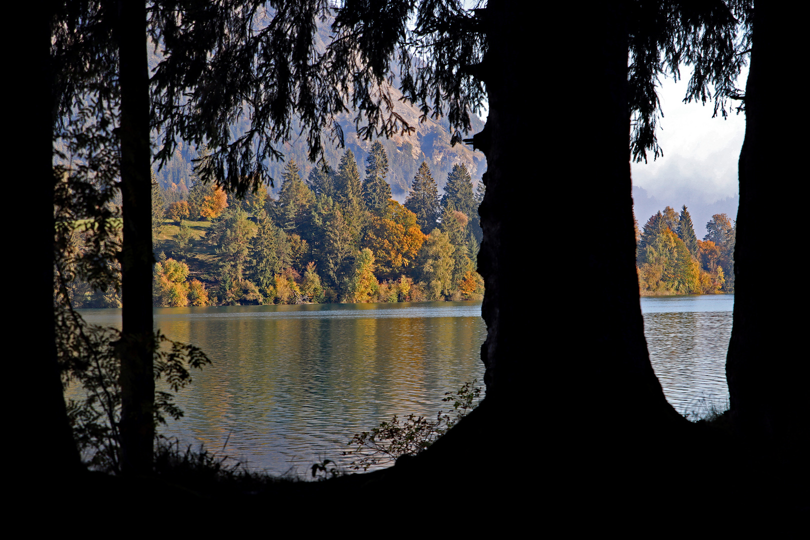 Herbstlicher Durchblick