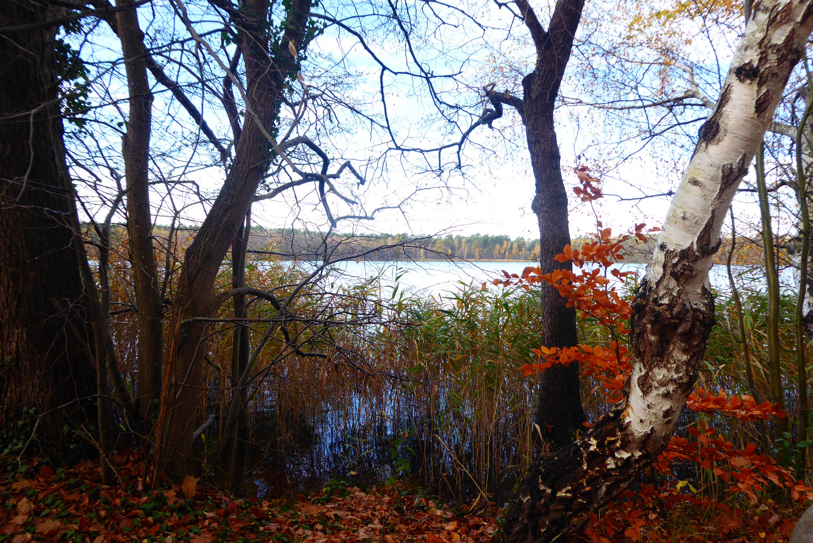 herbstlicher Durchblick auf den See