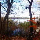 herbstlicher Durchblick auf den See