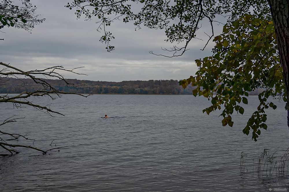 Herbstlicher Durchblick