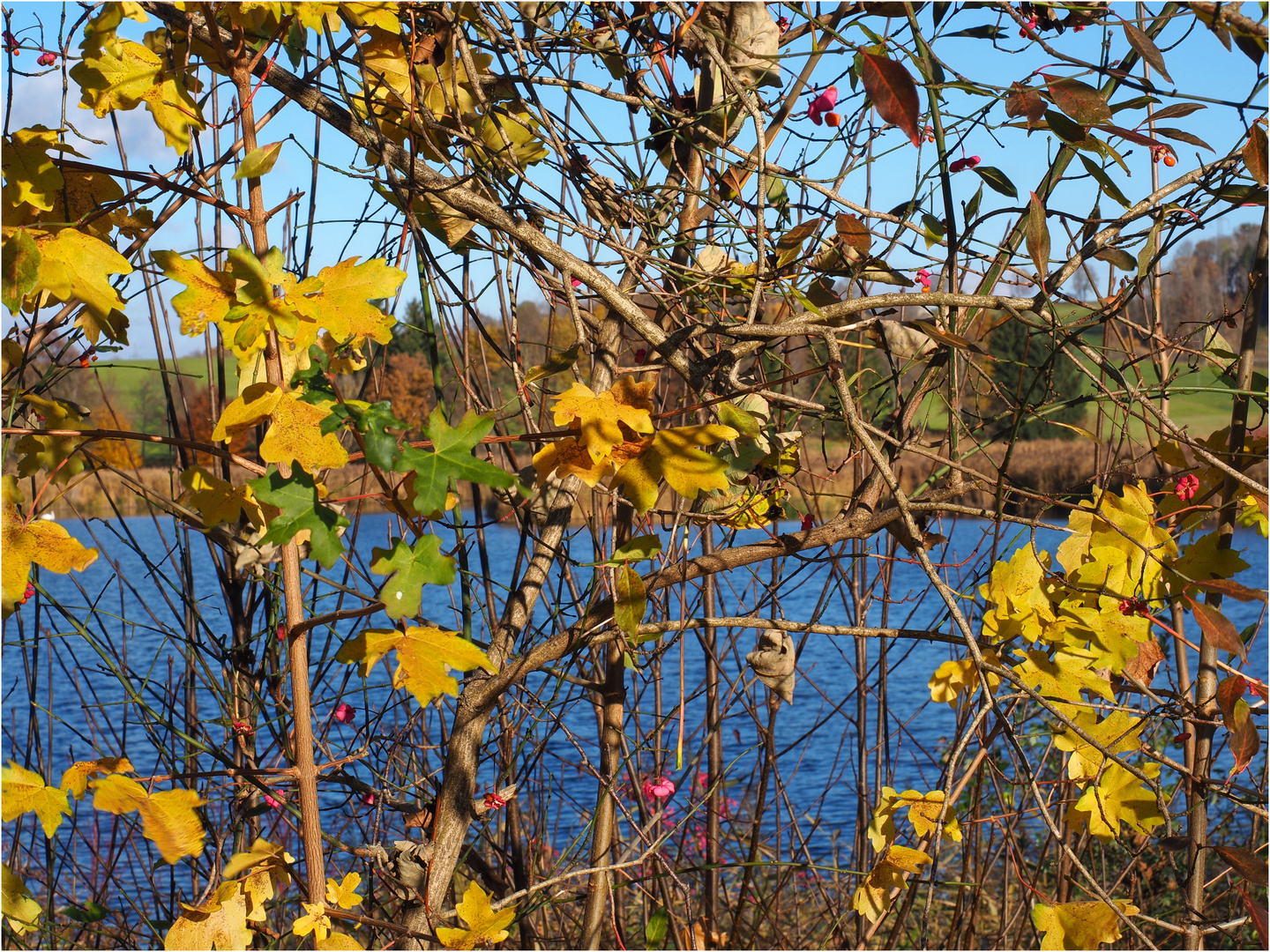 Herbstlicher Durchblick