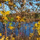 Herbstlicher Durchblick