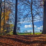 Herbstlicher Durchblick