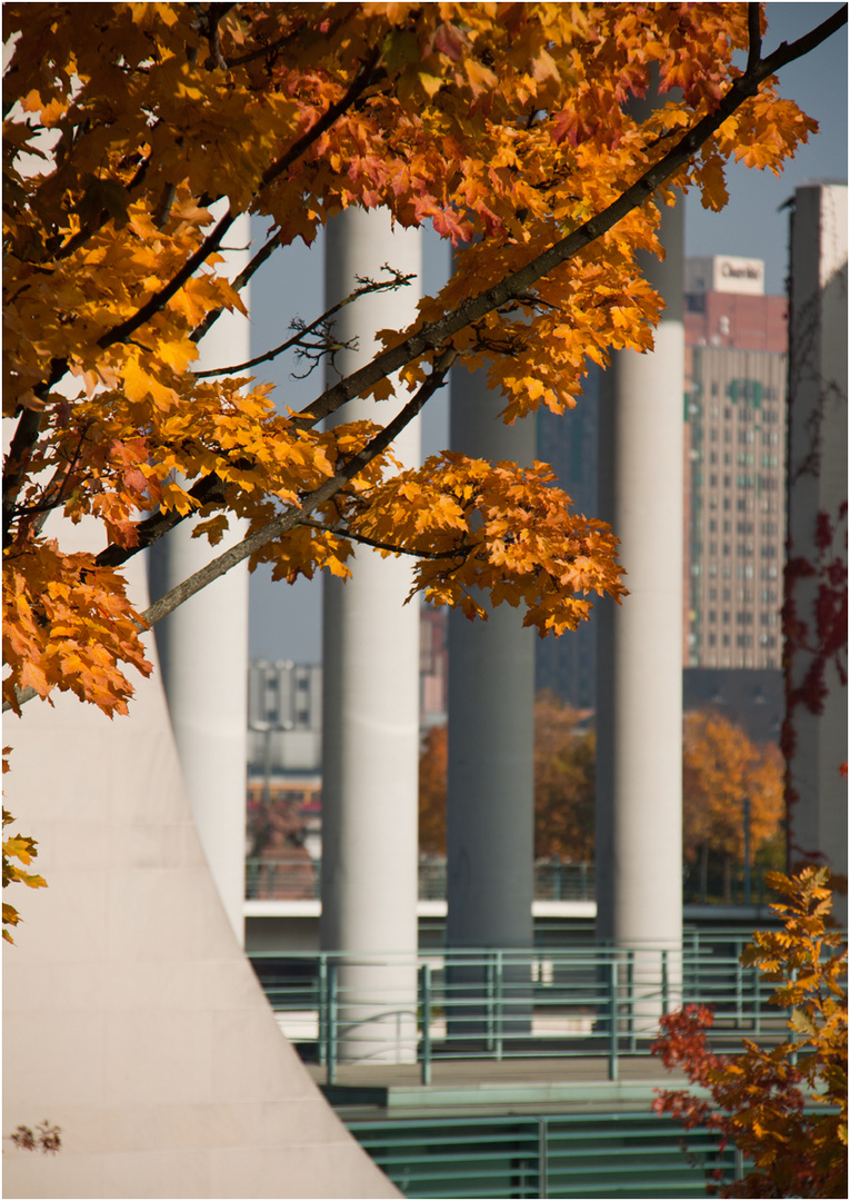 herbstlicher Durchblick