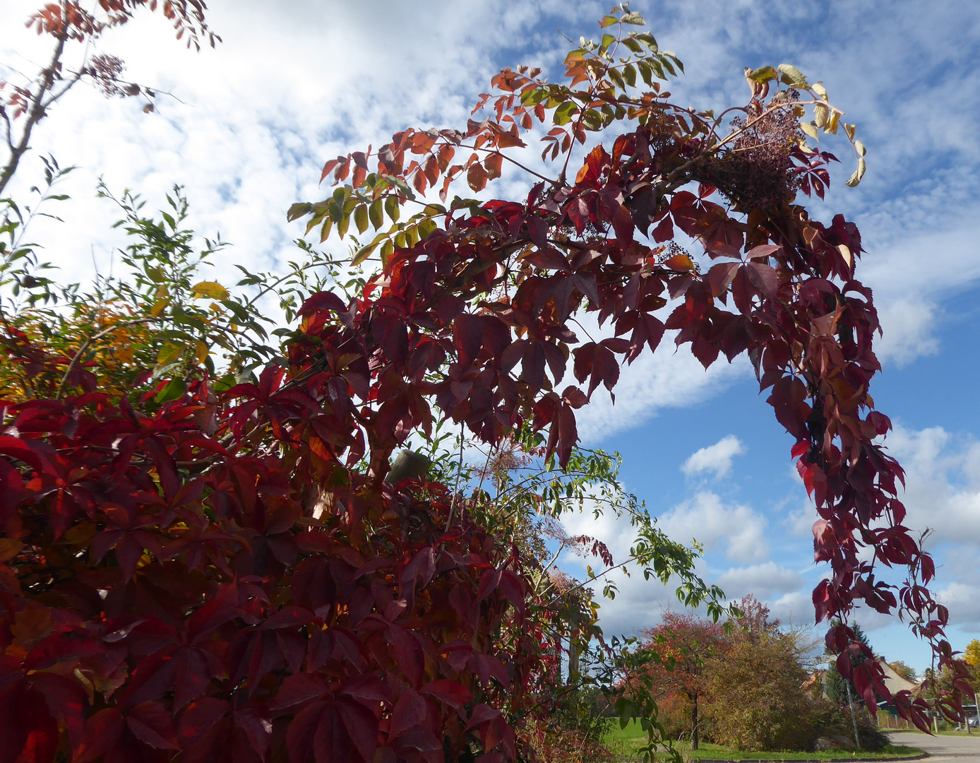 herbstlicher Durchblick