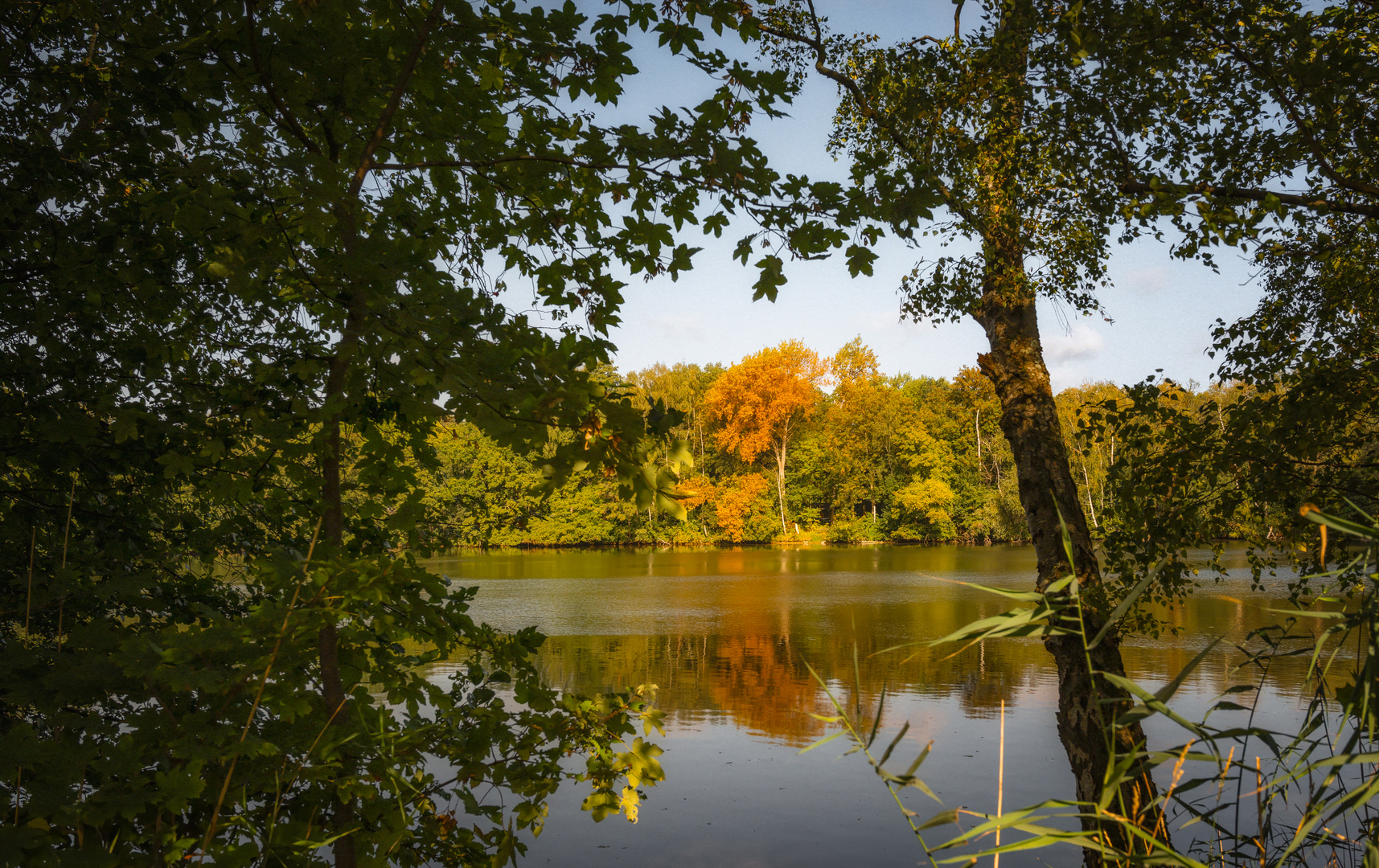 Herbstlicher Durchblick