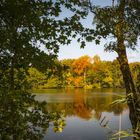 Herbstlicher Durchblick