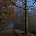 Herbstlicher Durchblick im Greizer Park