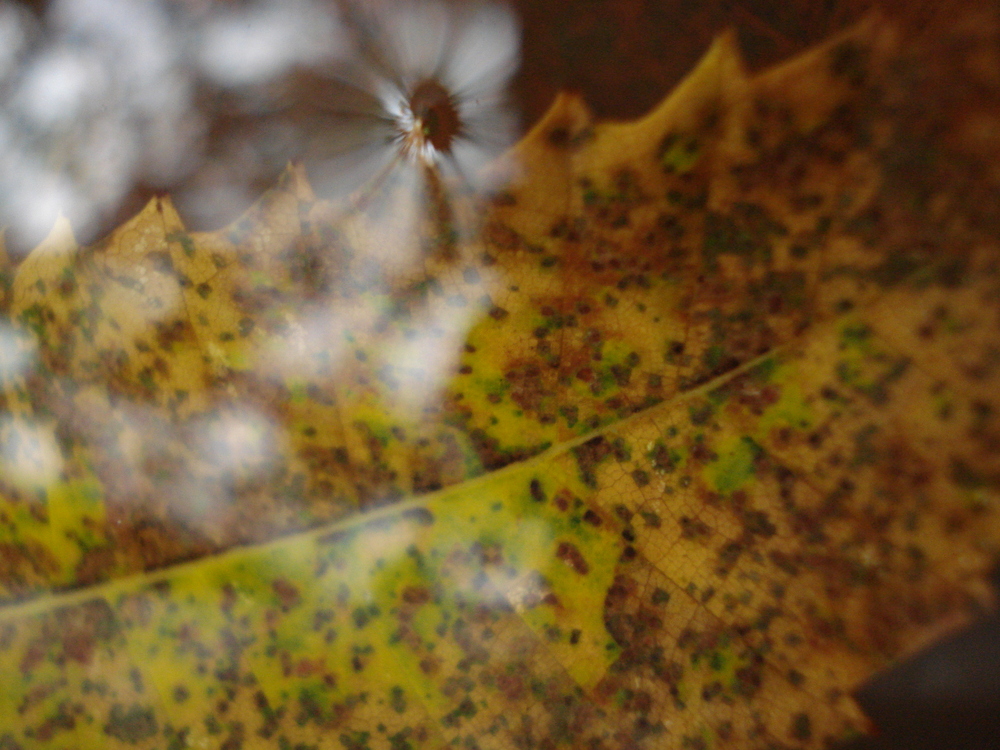 ..herbstlicher Durchbruch