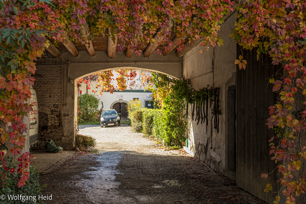 Herbstlicher Durchgang: