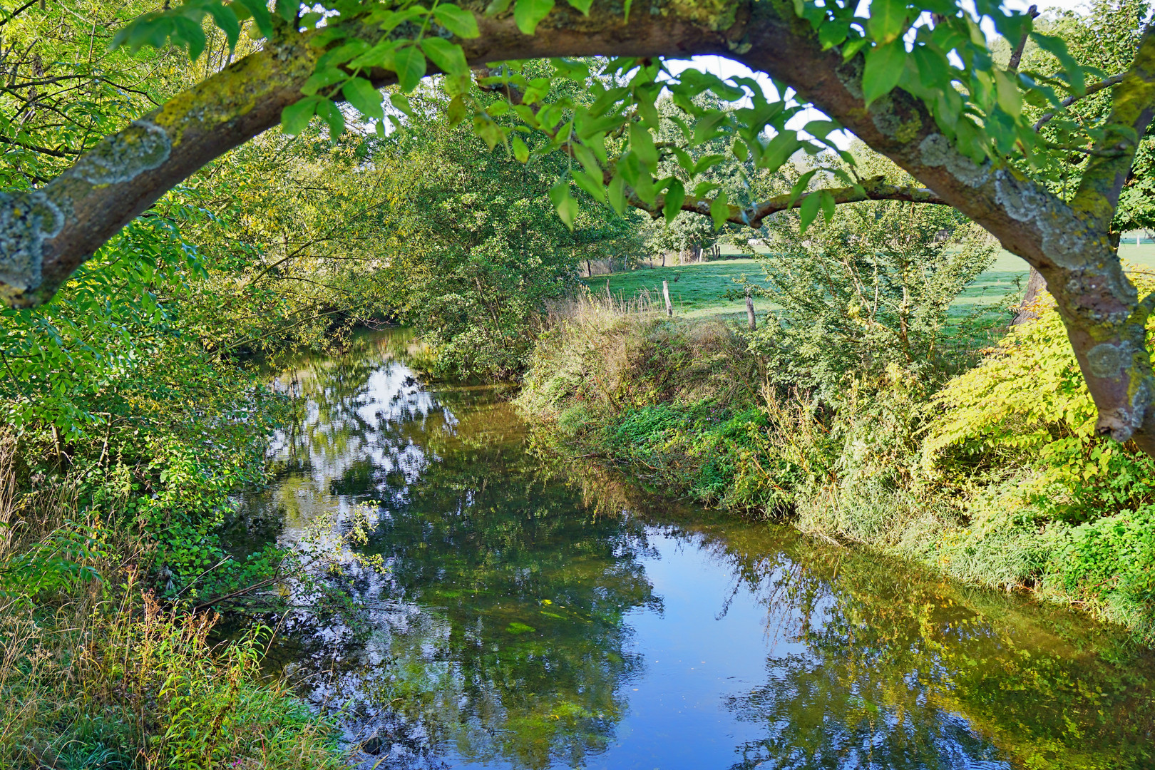 Herbstlicher Emmerfluss bei Bad Pyrmont