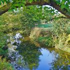 Herbstlicher Emmerfluss bei Bad Pyrmont