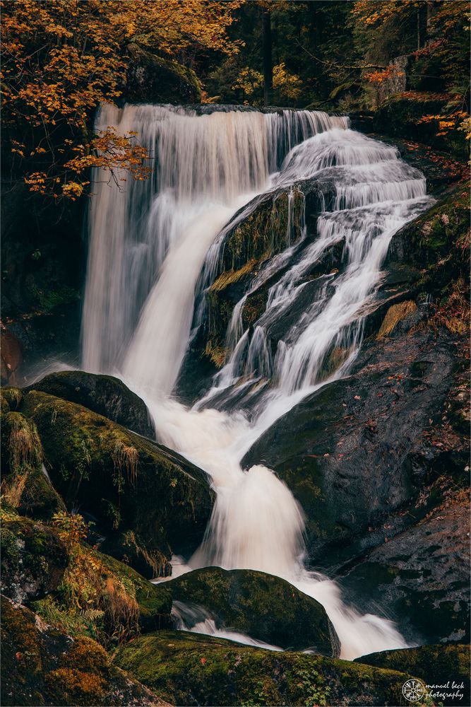 herbstlicher fall