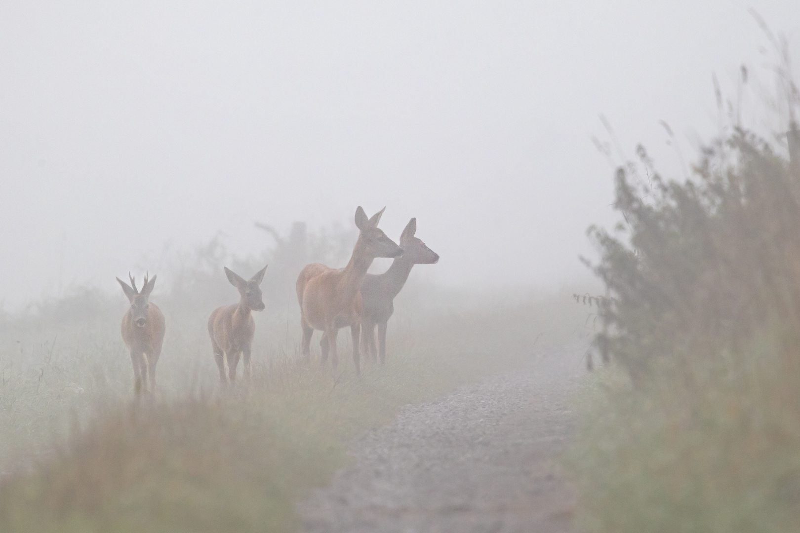 Herbstlicher Familienausflug