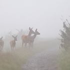 Herbstlicher Familienausflug