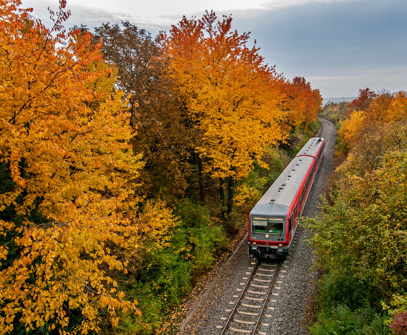 Herbstlicher Farbenrausch 