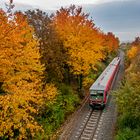 Herbstlicher Farbenrausch 