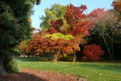 Herbstlicher Farbenrausch