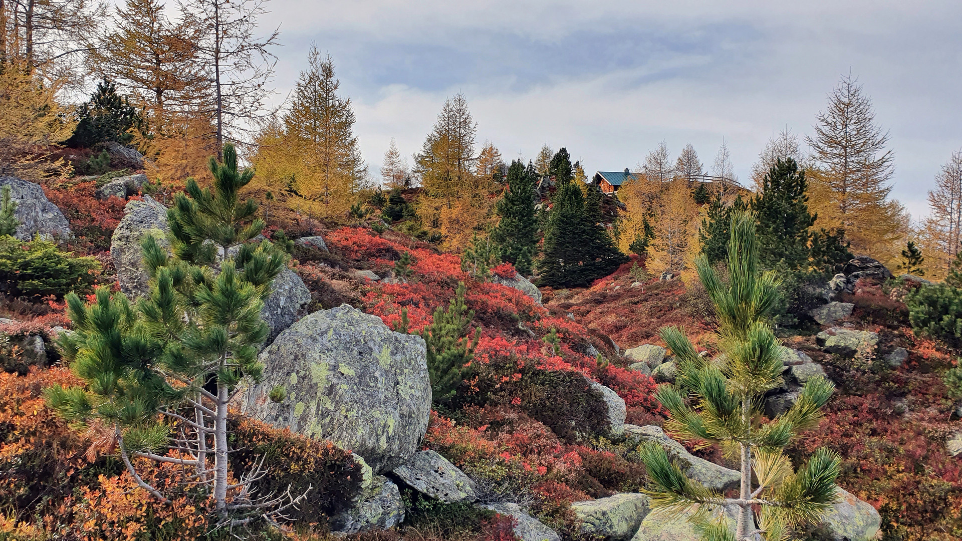 herbstlicher Farbenrausch