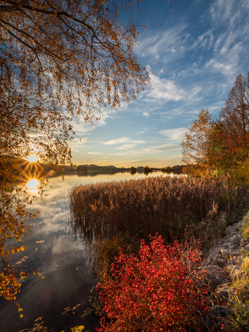 herbstlicher Farbenrausch