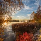 herbstlicher Farbenrausch