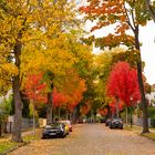 Herbstlicher Farbenrausch im Oktober (2)