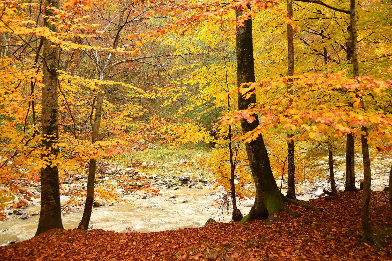 Herbstlicher Farbenzauber