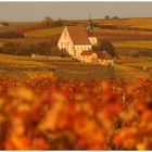 Herbstlicher Farbenzauber an der Mainschleife