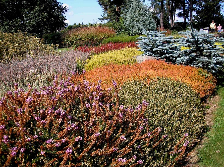 Herbstlicher Farbenzauber