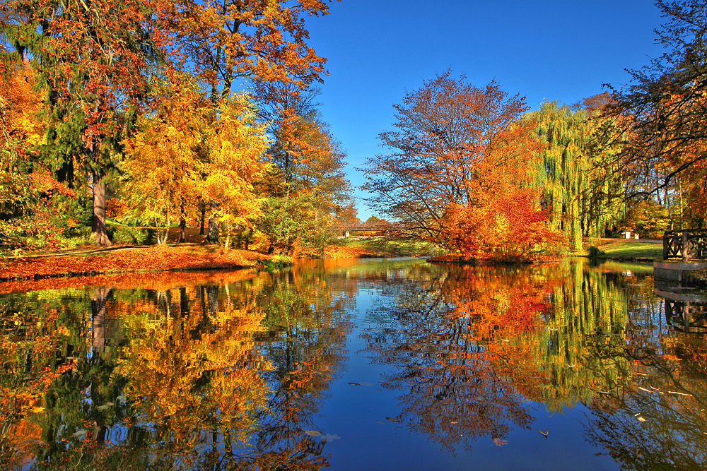 Herbstlicher Farbflash