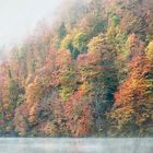 Herbstlicher Farbrausch am See...