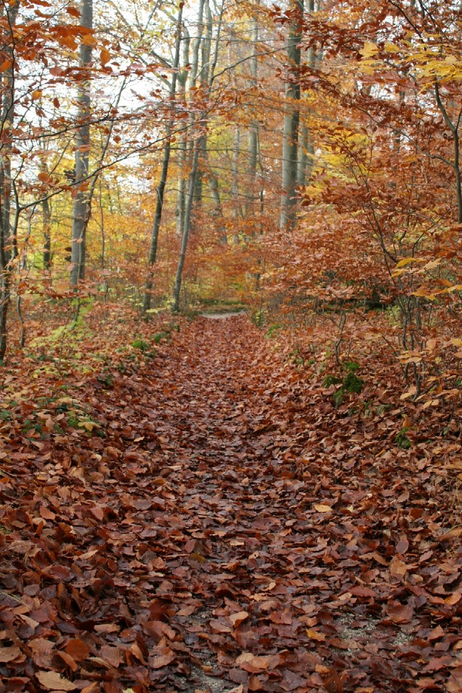 herbstlicher Farbtopf