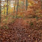 herbstlicher Farbtopf