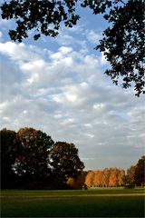 Herbstlicher Farbtupfer