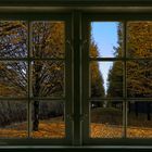 Herbstlicher Fensterblick