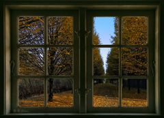 Herbstlicher Fensterblick