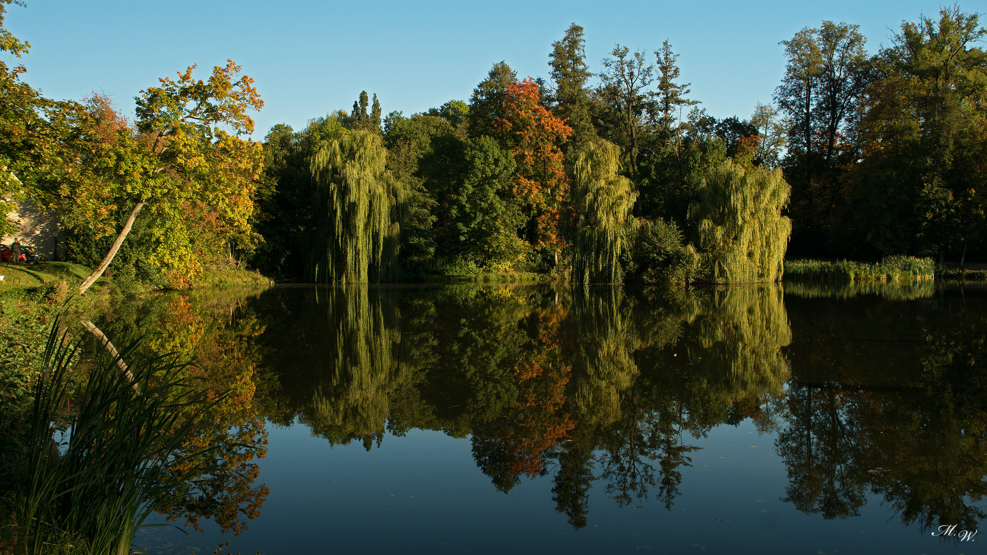 Herbstlicher Fischteich