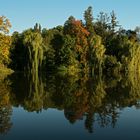 Herbstlicher Fischteich